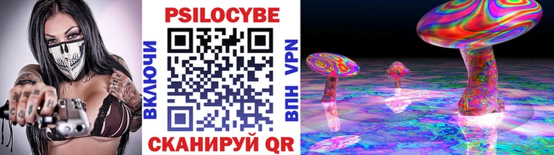 Купить где  Петров Вал  Псилоцибиновые грибы Psilocybine cubensis 